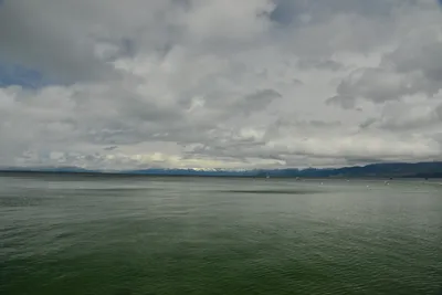 DSC_6773 (Large).JPG